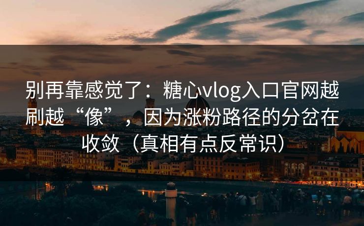 别再靠感觉了：糖心vlog入口官网越刷越“像”，因为涨粉路径的分岔在收敛（真相有点反常识）