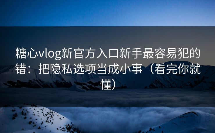 糖心vlog新官方入口新手最容易犯的错：把隐私选项当成小事（看完你就懂）