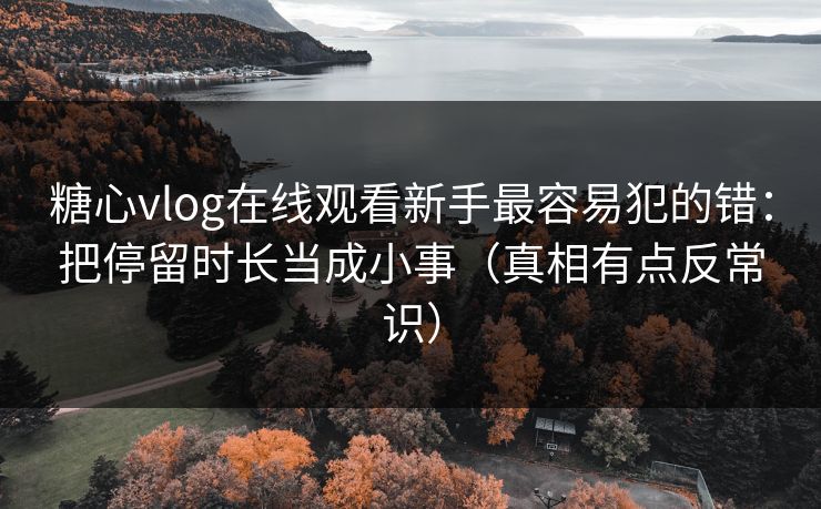 糖心vlog在线观看新手最容易犯的错：把停留时长当成小事（真相有点反常识）