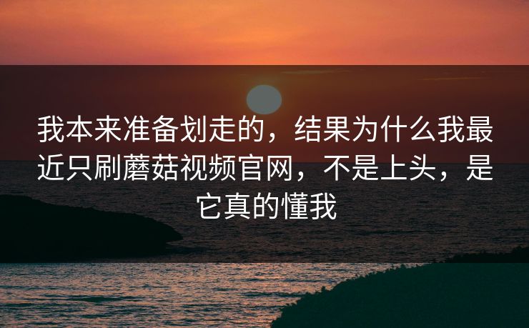 我本来准备划走的，结果为什么我最近只刷蘑菇视频官网，不是上头，是它真的懂我