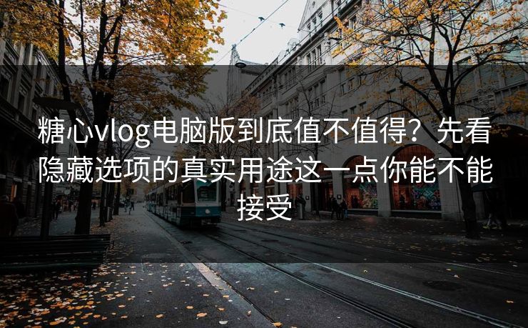糖心vlog电脑版到底值不值得？先看隐藏选项的真实用途这一点你能不能接受