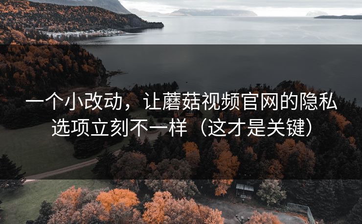 一个小改动，让蘑菇视频官网的隐私选项立刻不一样（这才是关键）