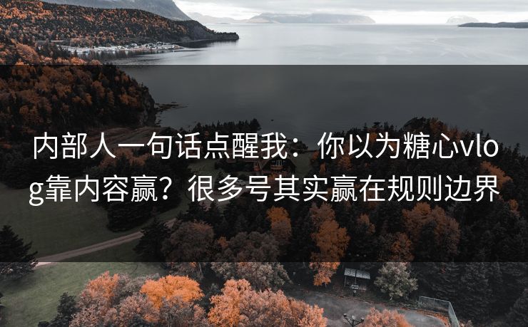 内部人一句话点醒我：你以为糖心vlog靠内容赢？很多号其实赢在规则边界