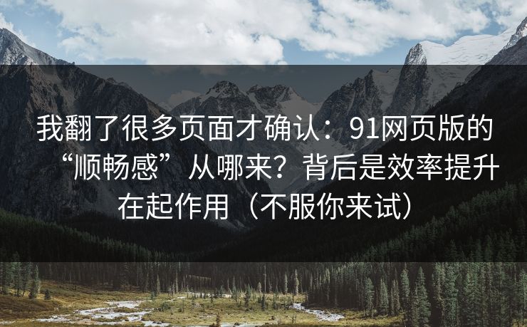我翻了很多页面才确认：91网页版的“顺畅感”从哪来？背后是效率提升在起作用（不服你来试）